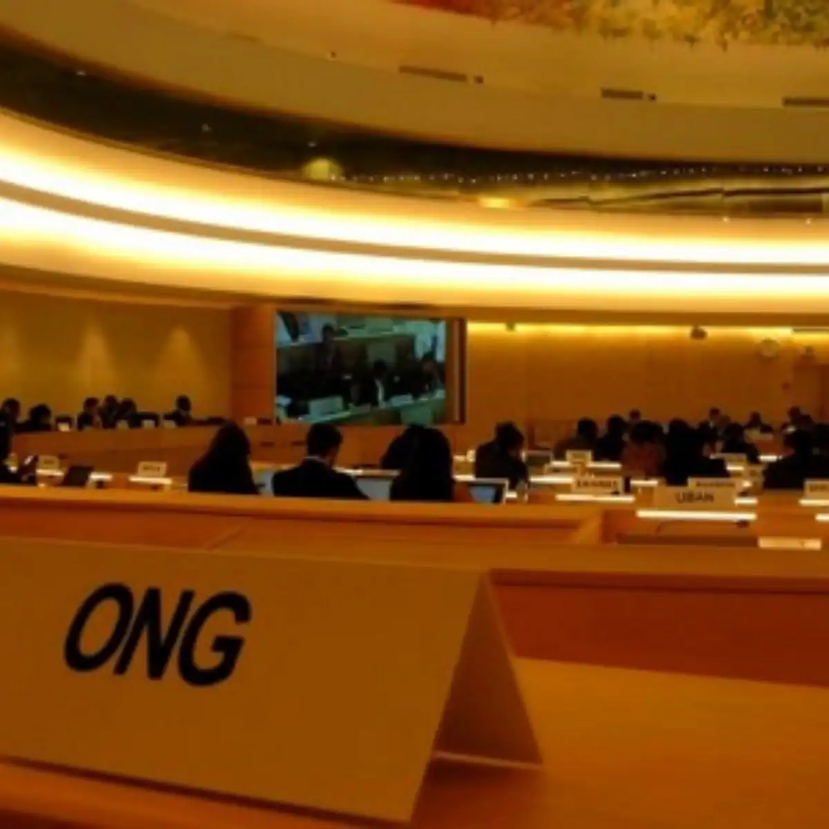 Consultoría ambiental para ONGs Honduras - Proyectos de conservación