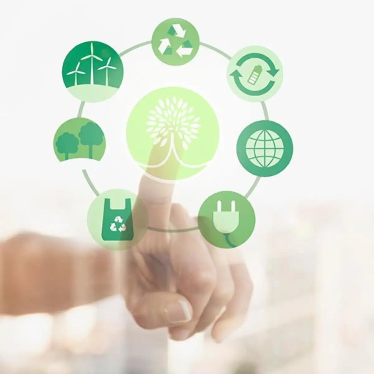 Servicio de Asesoría y Gestión Ambiental