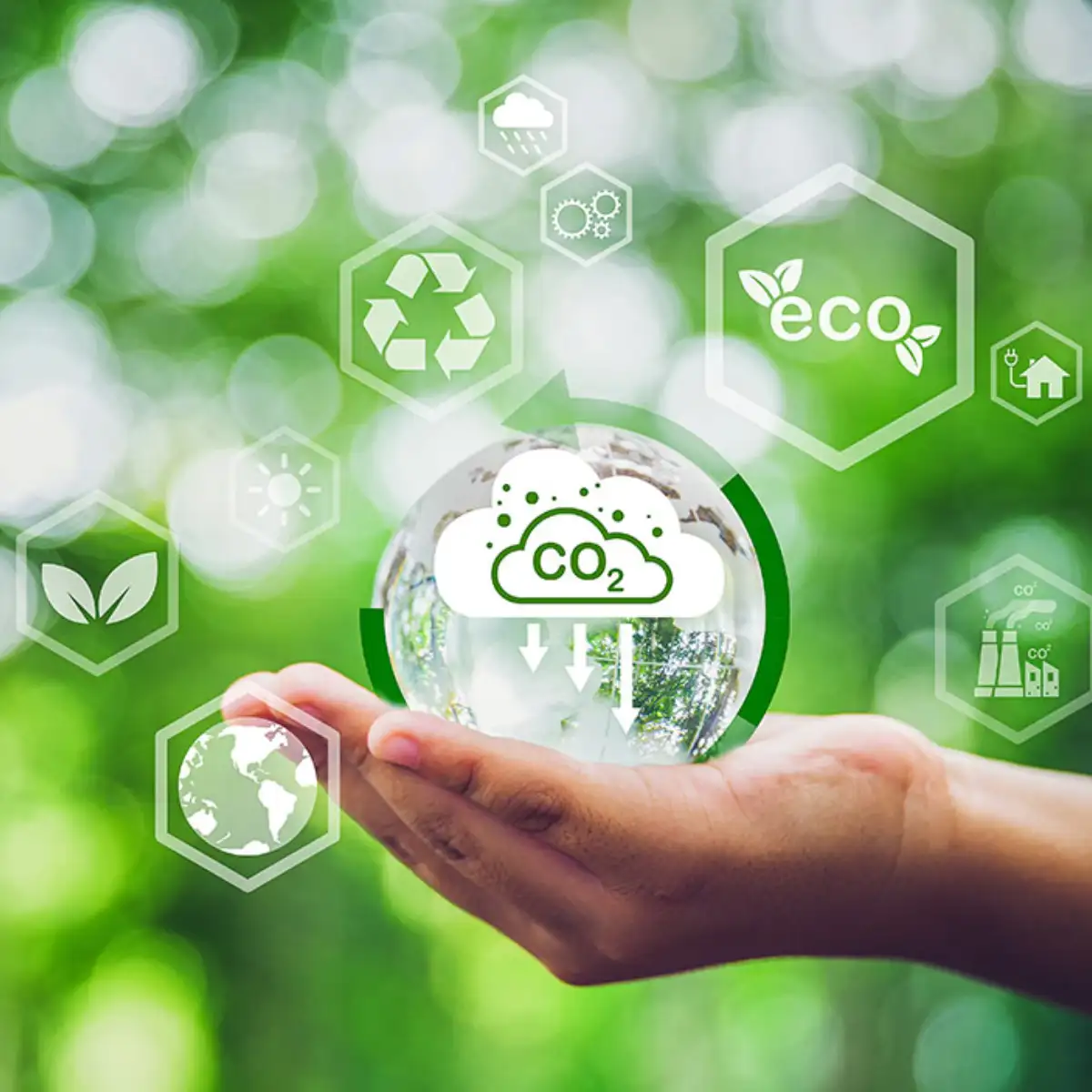 Servicio de Sostenibilidad y Cambio Climático